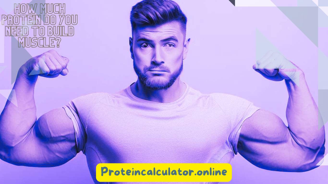 How Much Protein Do You Need to Build Muscle