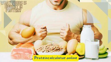 What Foods is Highest in Protein