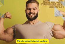 What Protein is Good for Building Muscle and Losing Fat