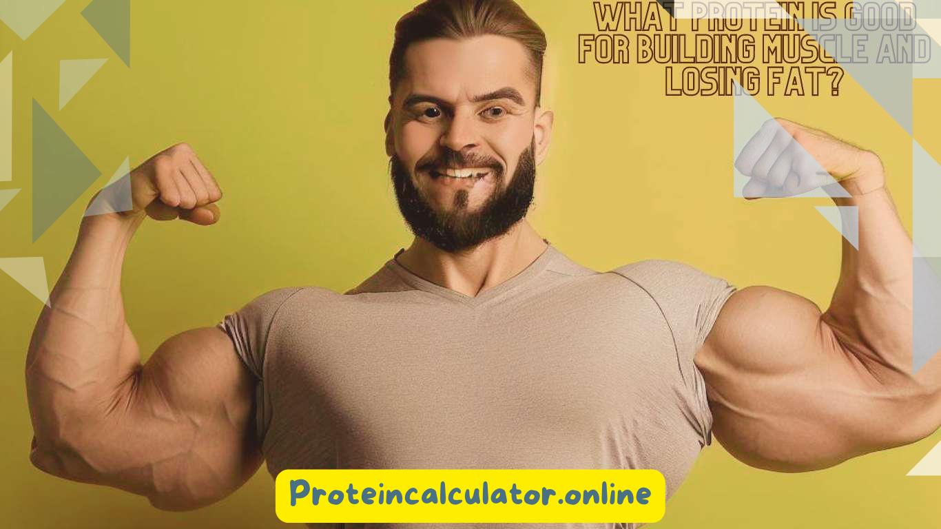 What Protein is Good for Building Muscle and Losing Fat