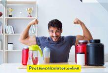 Power Up 10 High Protein Recipes to Fuel Your Muscles Daily