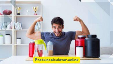 Power Up 10 High Protein Recipes to Fuel Your Muscles Daily