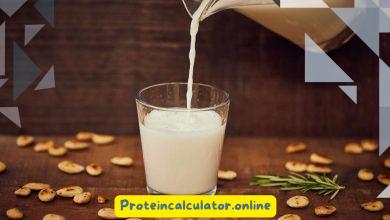 Does Kale Have More Protein Than Meat