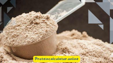 Is Whey Protein Kosher for Passover