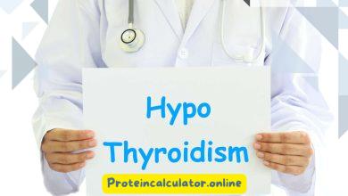 What is the Best Protein Powder for Hypothyroidism