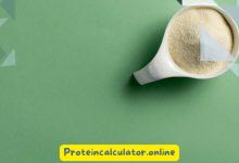 Which Protein Powder is Best for Crohn's Disease